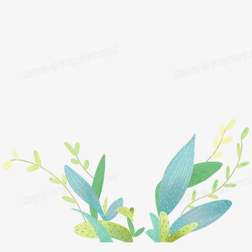 叶子动漫,描绘青春梦想的彩色画卷